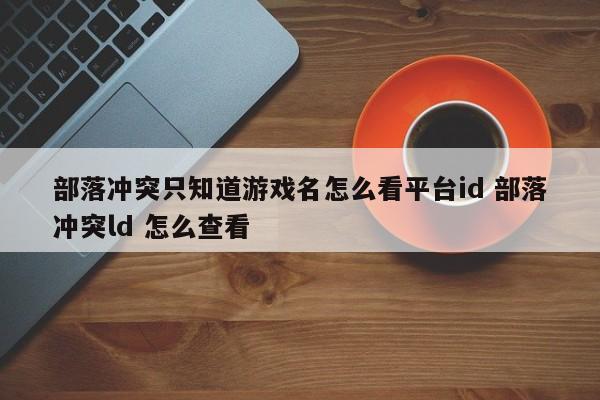 部落冲突只知道游戏名怎么看平台id 部落冲突ld 怎么查看-第1张图片