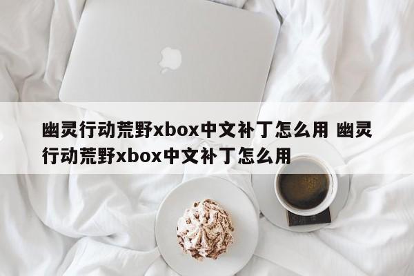 幽灵行动荒野xbox中文补丁怎么用 幽灵行动荒野xbox中文补丁怎么用-第1张图片