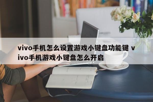 vivo手机怎么设置游戏小键盘功能键 vivo手机游戏小键盘怎么开启-第1张图片